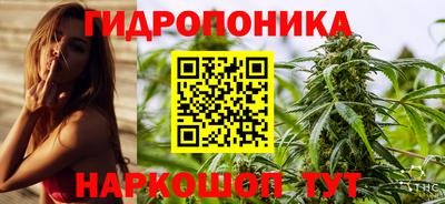 шишки Балашиха