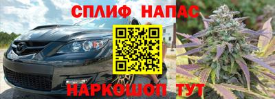 шишки Балашиха