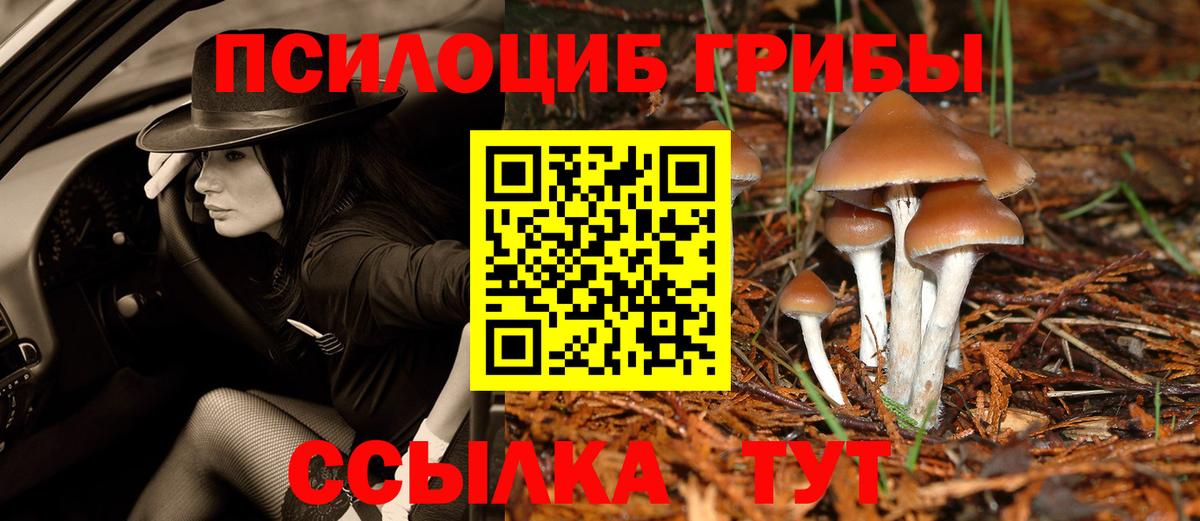 Галлюциногенные грибы MAGIC MUSHROOMS Ефремов